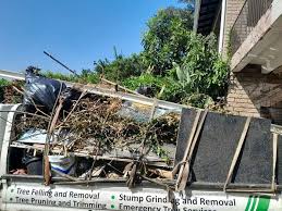 Best Yard Waste Removal in Leadville North, CO